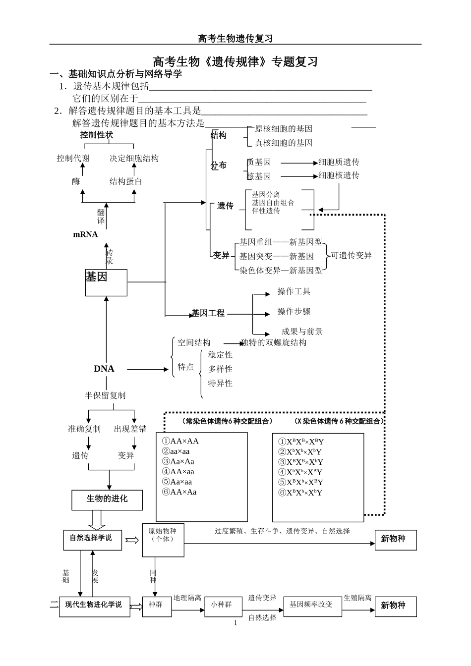 孟德尔遗传定律-专题复习_第1页