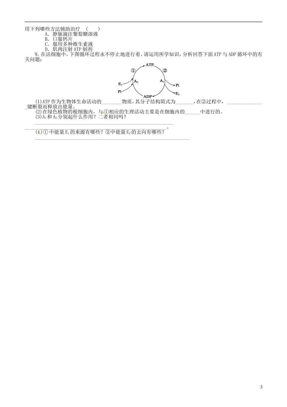 山东省平邑县曾子学校高中生物 第6章第3课时 细胞的能量“通货” ATP学案 新人教版必修1 _第3页
