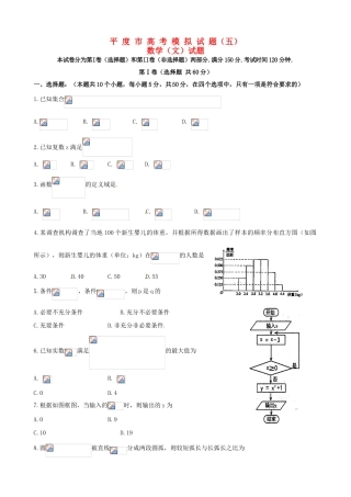 山东省平度市高三数学毕业班模拟考试试题（五） 文-人教版高三全册数学试题