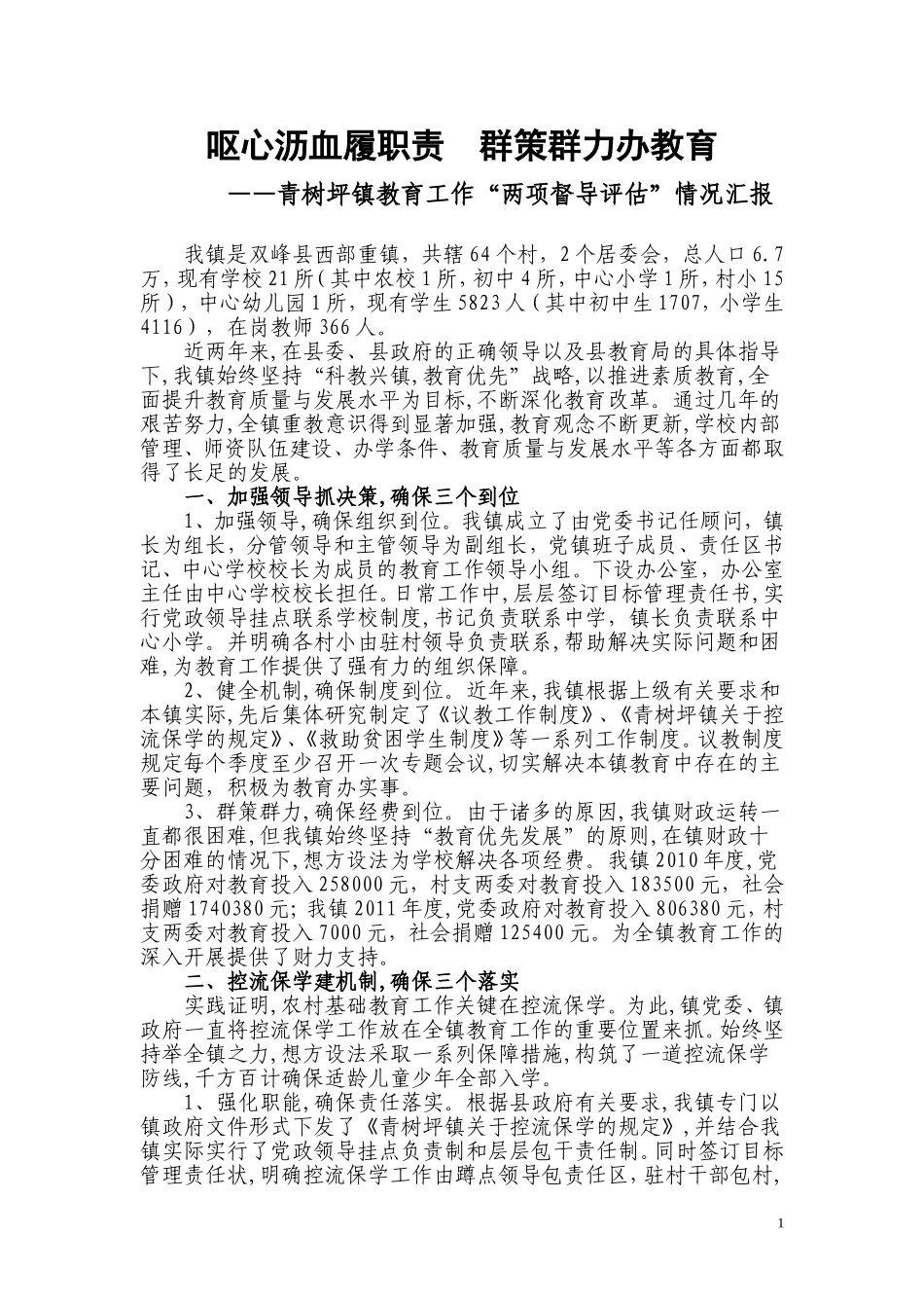 青树坪镇两项督导评估汇报材料_第1页