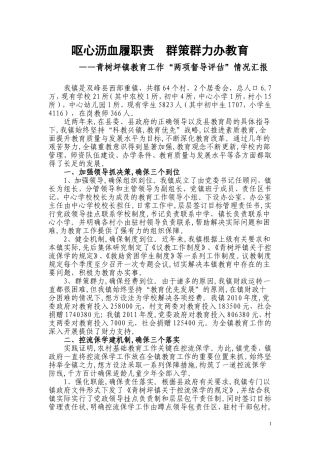 青树坪镇两项督导评估汇报材料