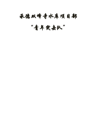 青年突击队策划书(正式版)