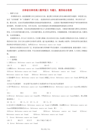 吉林省吉林市高三数学复习 专题九 数形结合思想