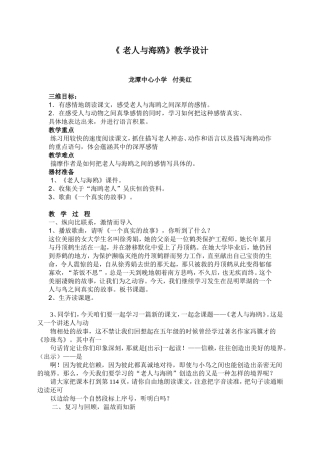 老人与海鸥教学设计