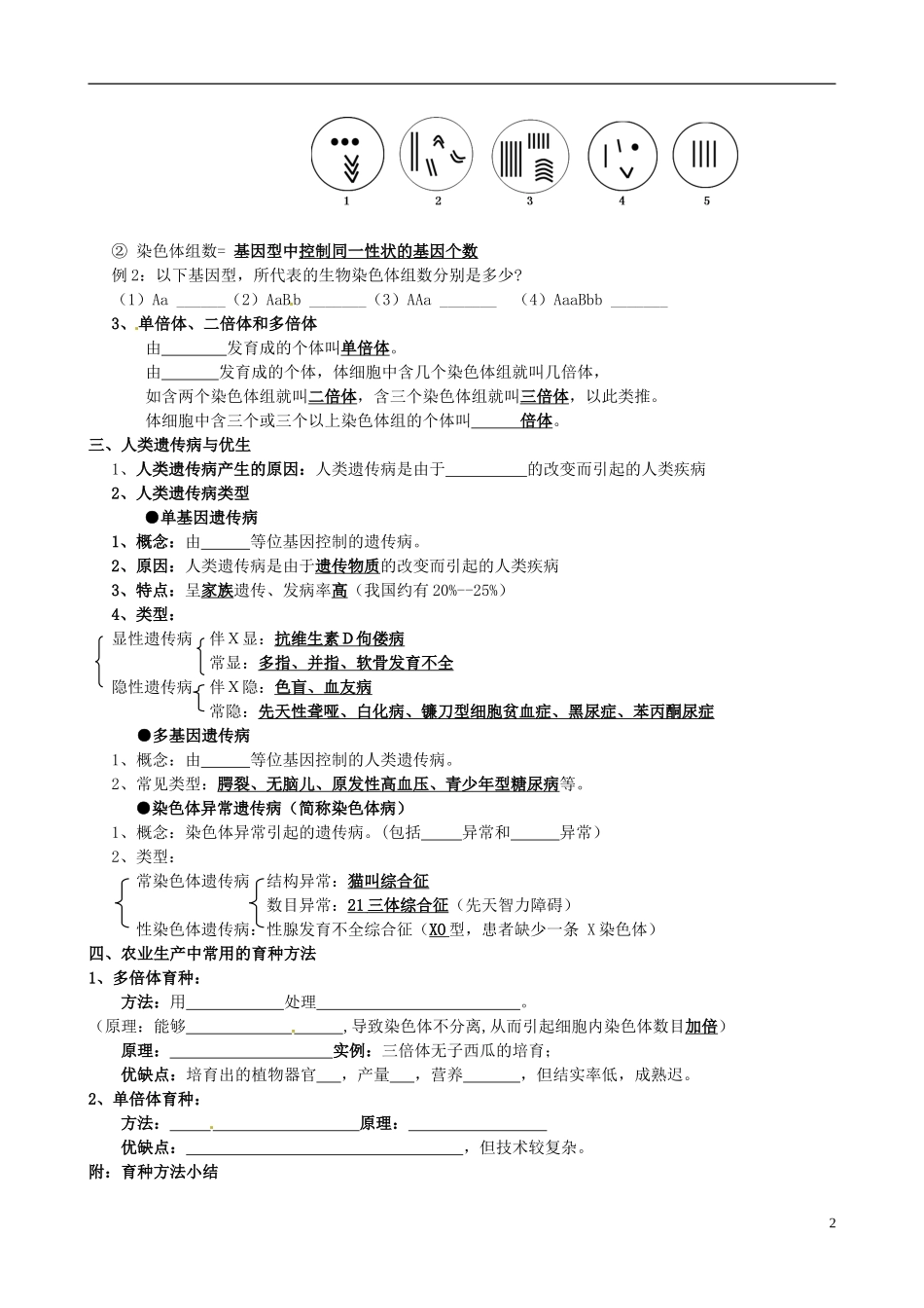 山东省淄博市淄川般阳中学高中生物 第三章《生物的变异》学案 新人教版必修2_第2页
