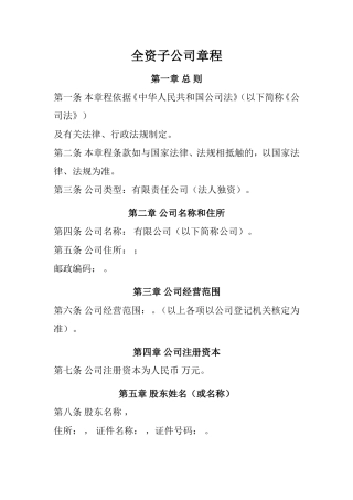 全资子公司章程范本