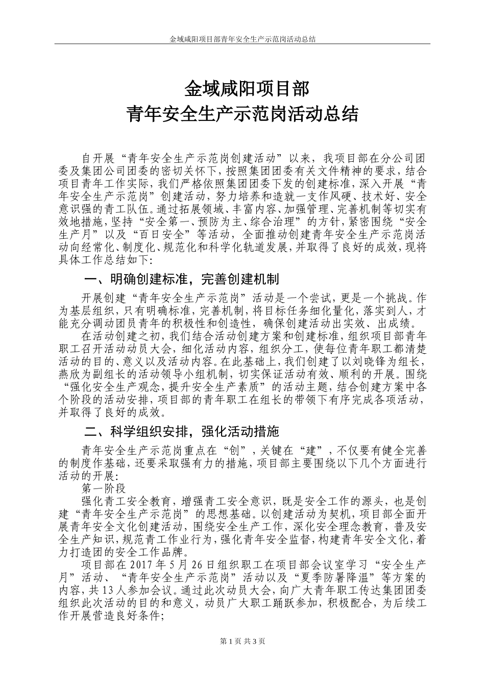 青年安全生产示范岗总结_第1页