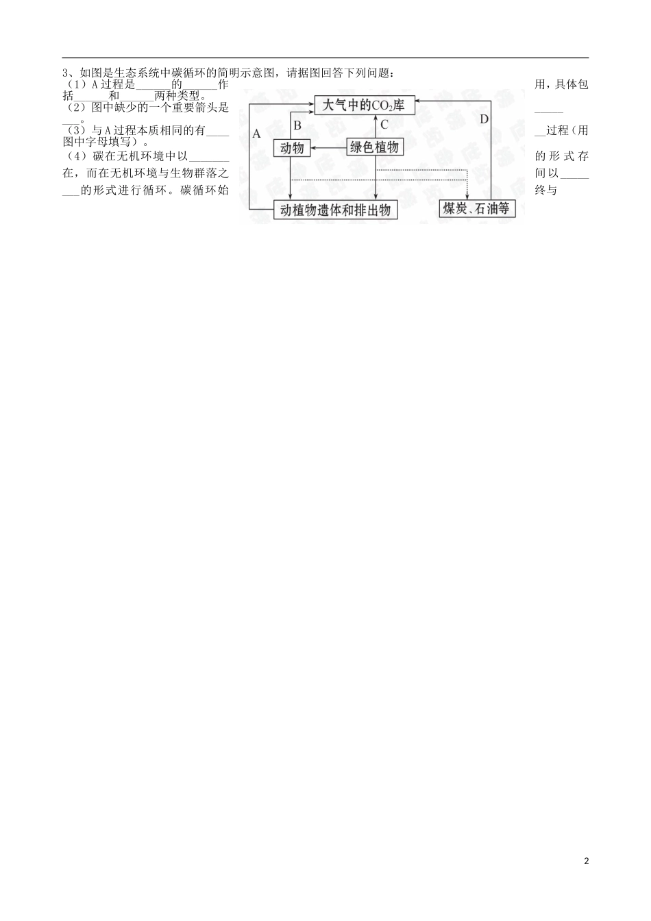 江苏省灌南高级中学高二生物《生态系统的物质循环》学案 苏科版_第2页