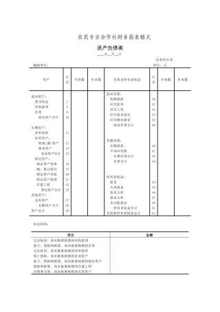 农民专业合作社资产负债表格式