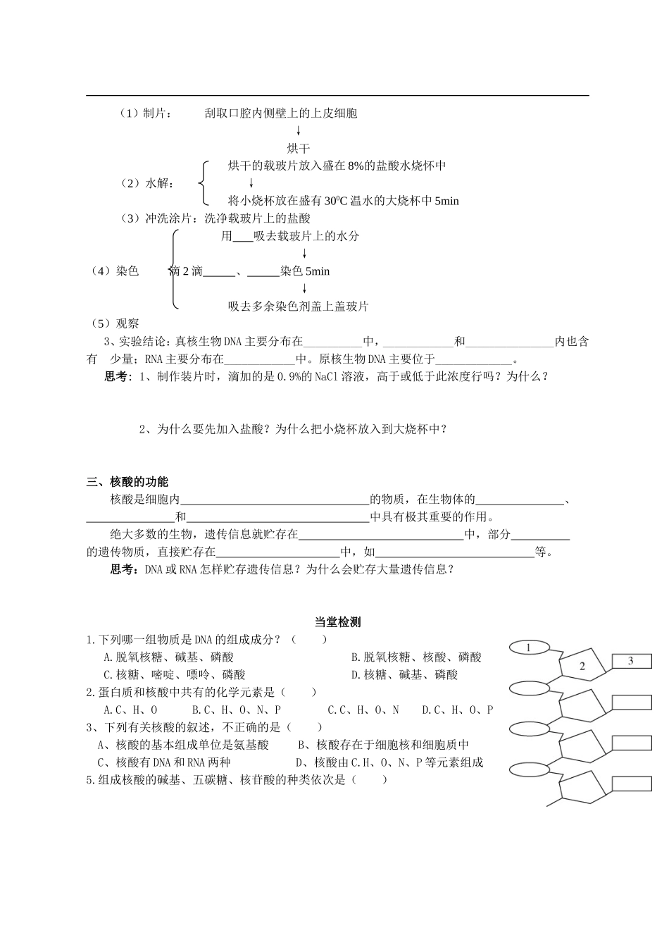 陕西省西安市田家炳中学高中生物 第二章 第三节 遗传信息的携带者 核酸导学案 新人教版必修1_第2页