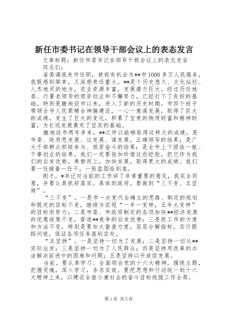 新任市委书记在领导干部会议上的表态发言稿_1