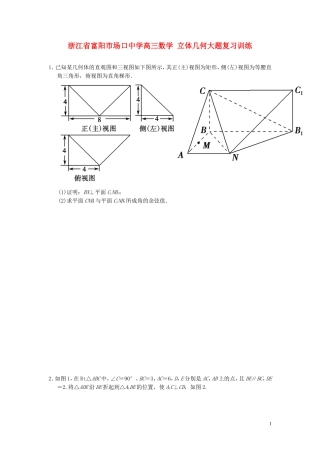 浙江省富阳市场口中学高三数学 立体几何大题复习训练
