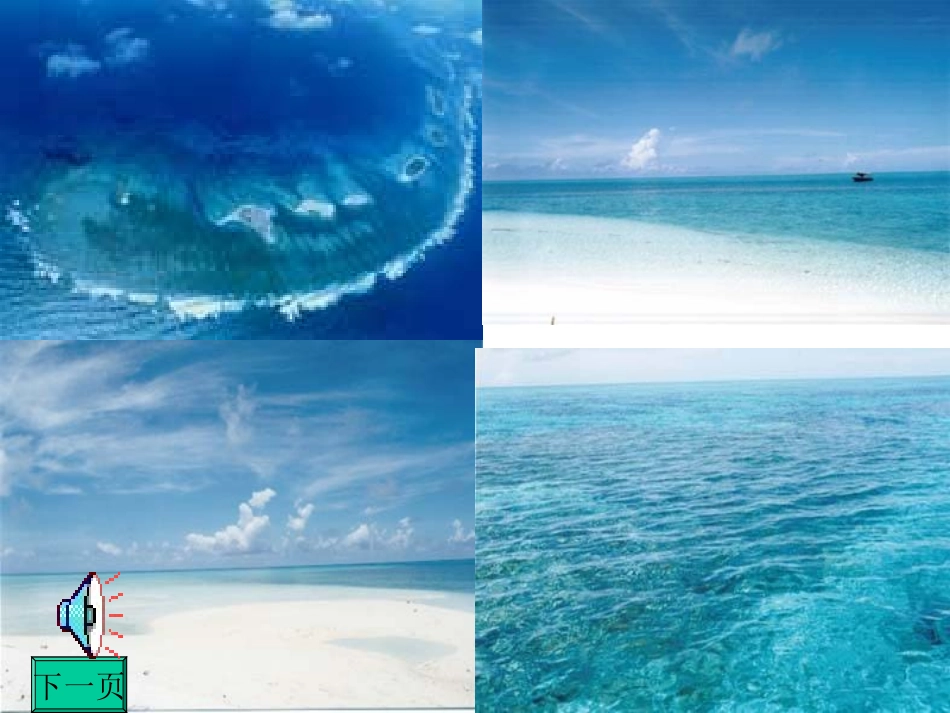 三年级语文上册第八组31给予树课件_第3页