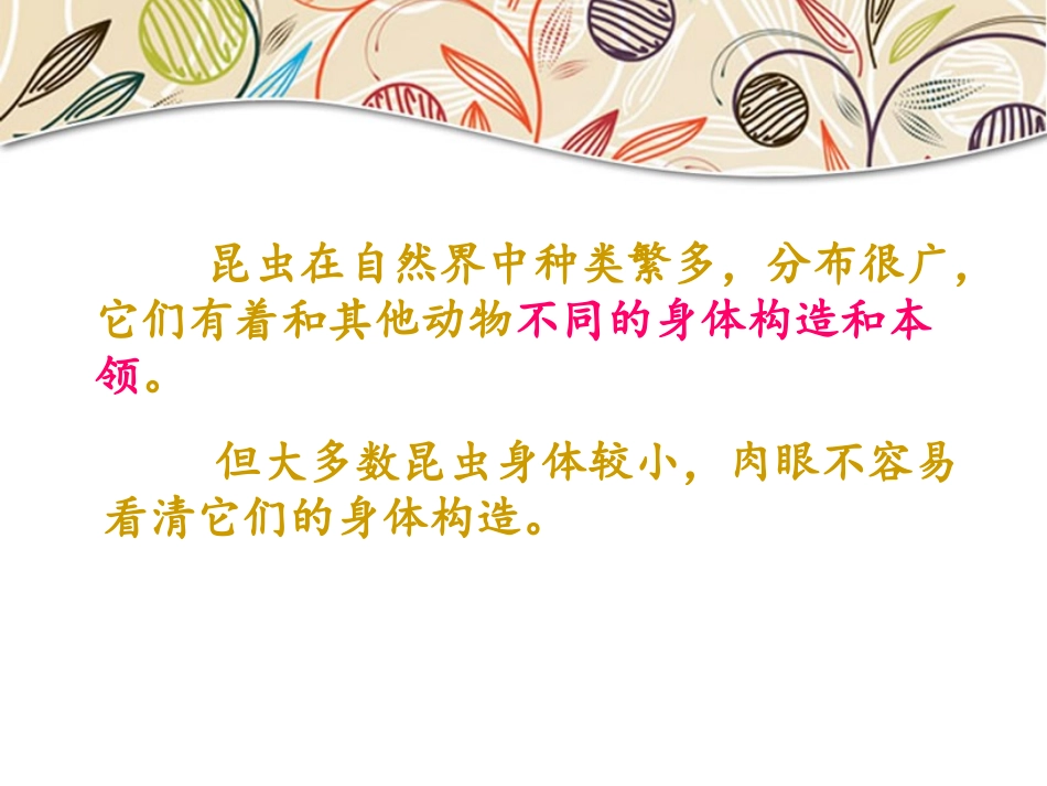 放大镜下的昆虫世界2_第2页