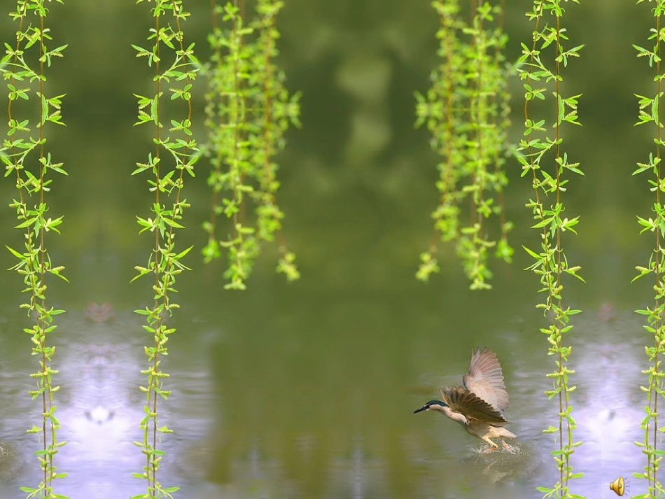 爱护水资源课件11_第3页