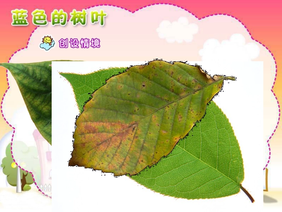 蓝色的树叶课件 _第2页