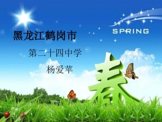 黑龙江省鹤岗市第二十四中学杨爱苹