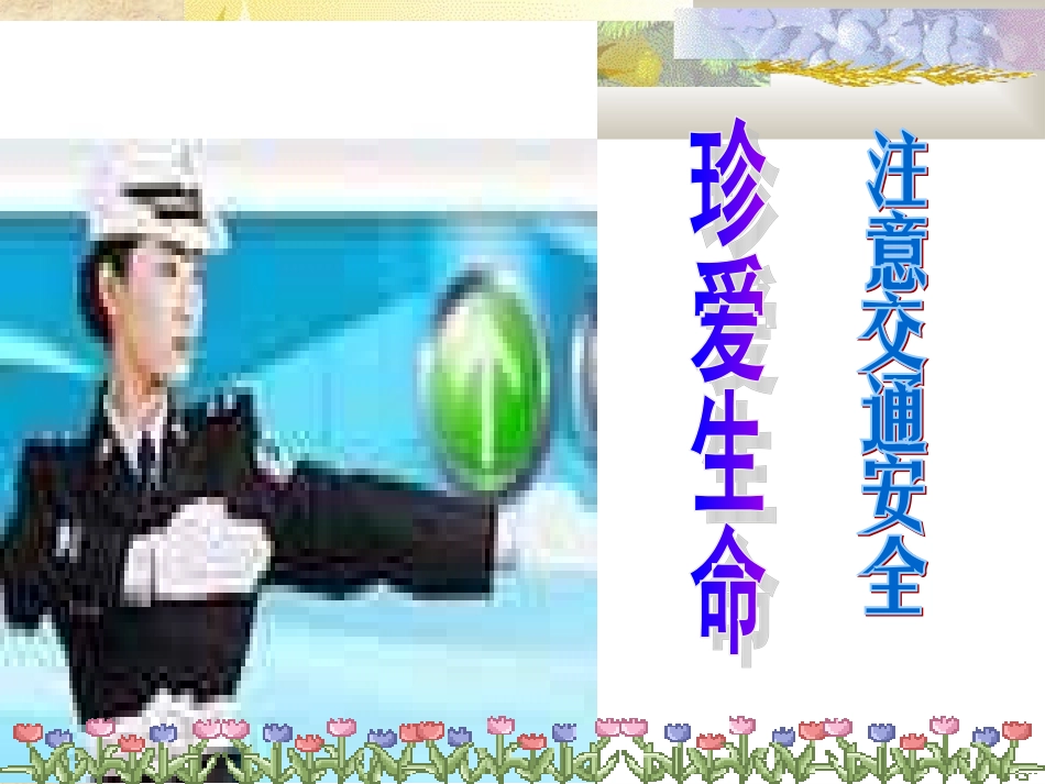珍爱生命注意交通安全_第1页