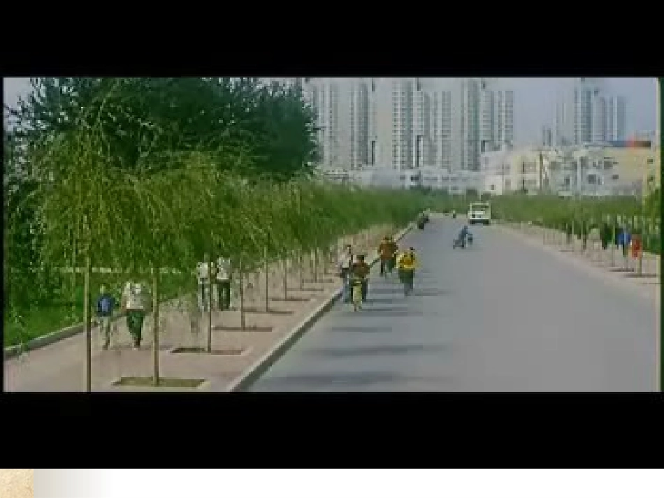 珍爱生命注意交通安全_第3页