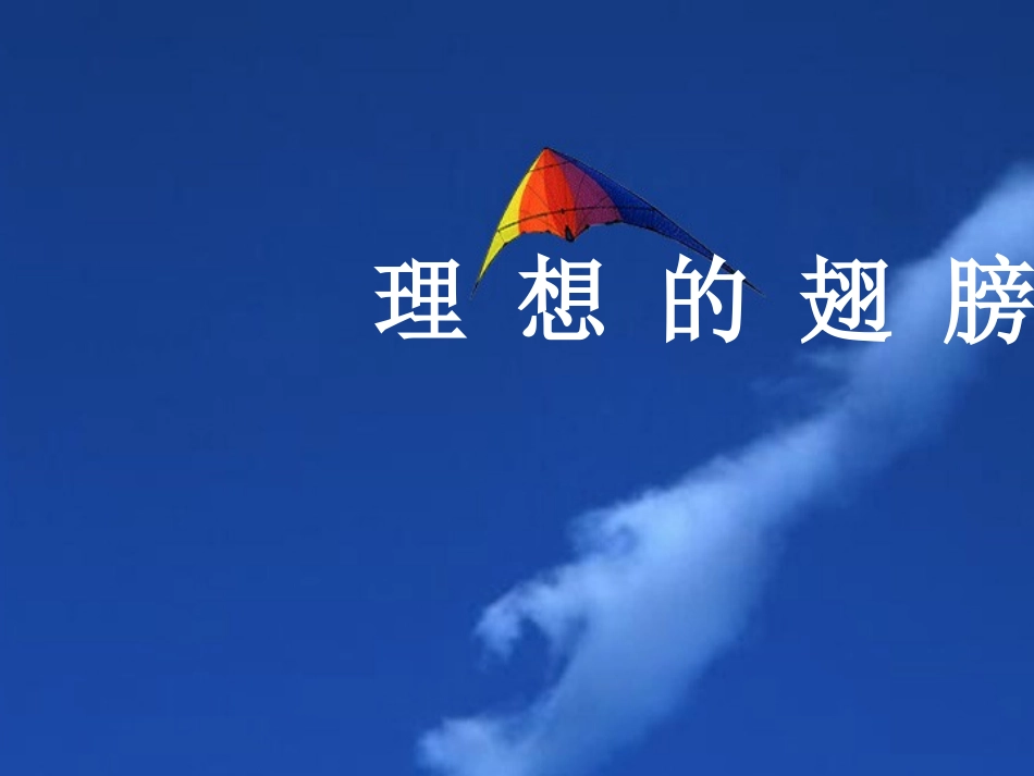 理想的翅膀课件_第1页