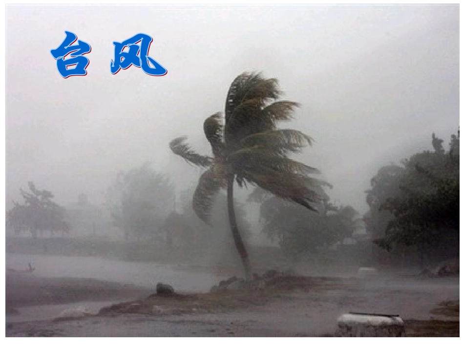 自然灾害的威力_第3页