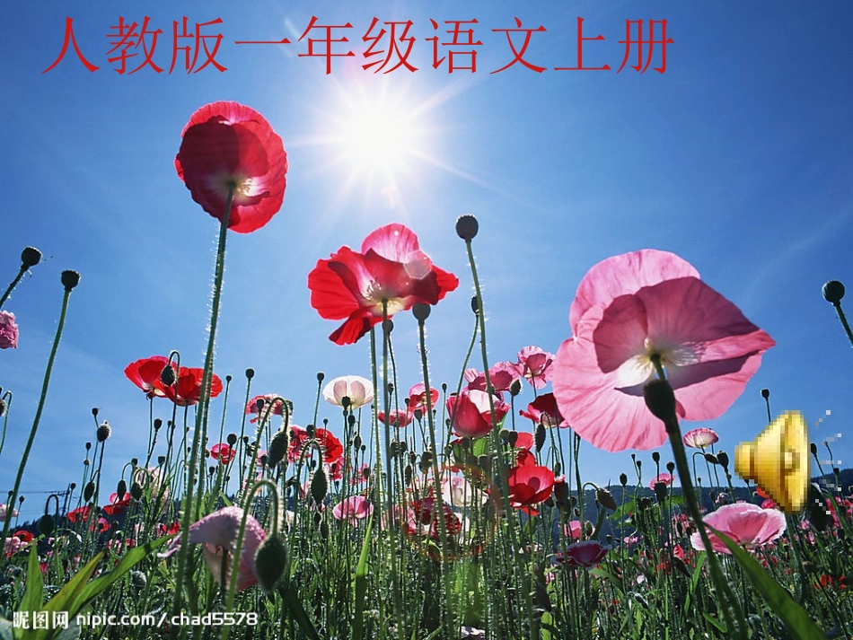 《阳光》原创课件_第1页