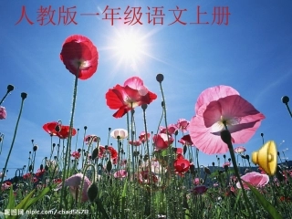 《阳光》原创课件