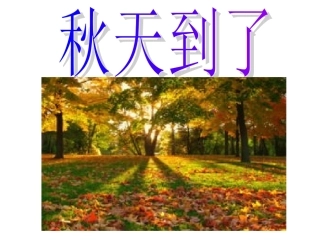 秋天到了 (2)