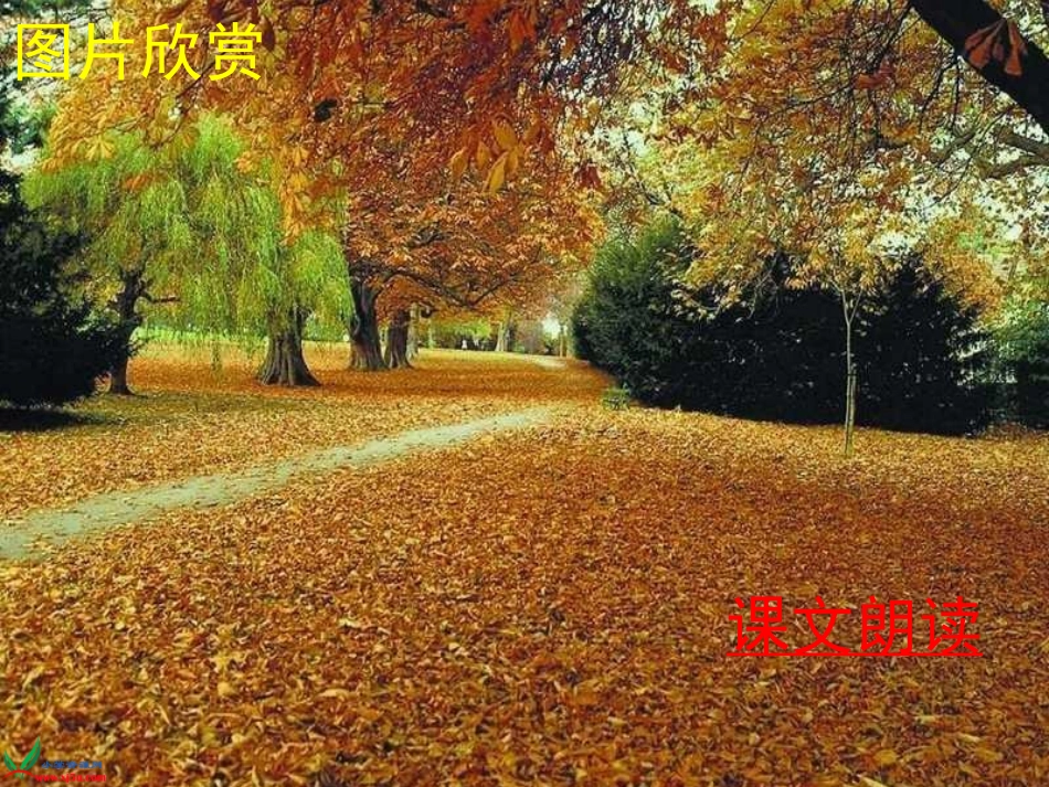 西师大版四年级语文秋天向我们微笑gdkj_第3页