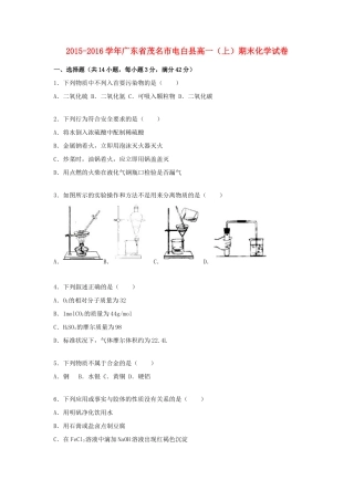 广东省茂名市电白县高一化学上学期期末试卷（含解析）-人教版高一全册化学试题