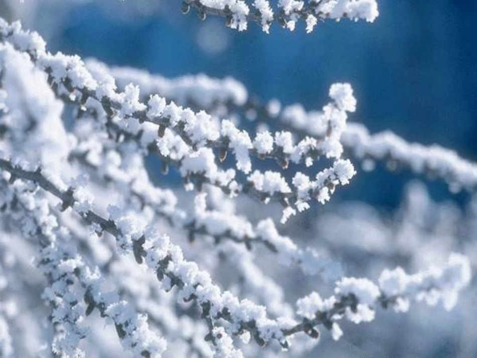 雪地里的小画家PPT李_第1页