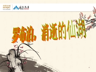 罗布泊消逝的仙湖 (3)