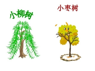 《小柳树和小枣树》第一课时安国莉