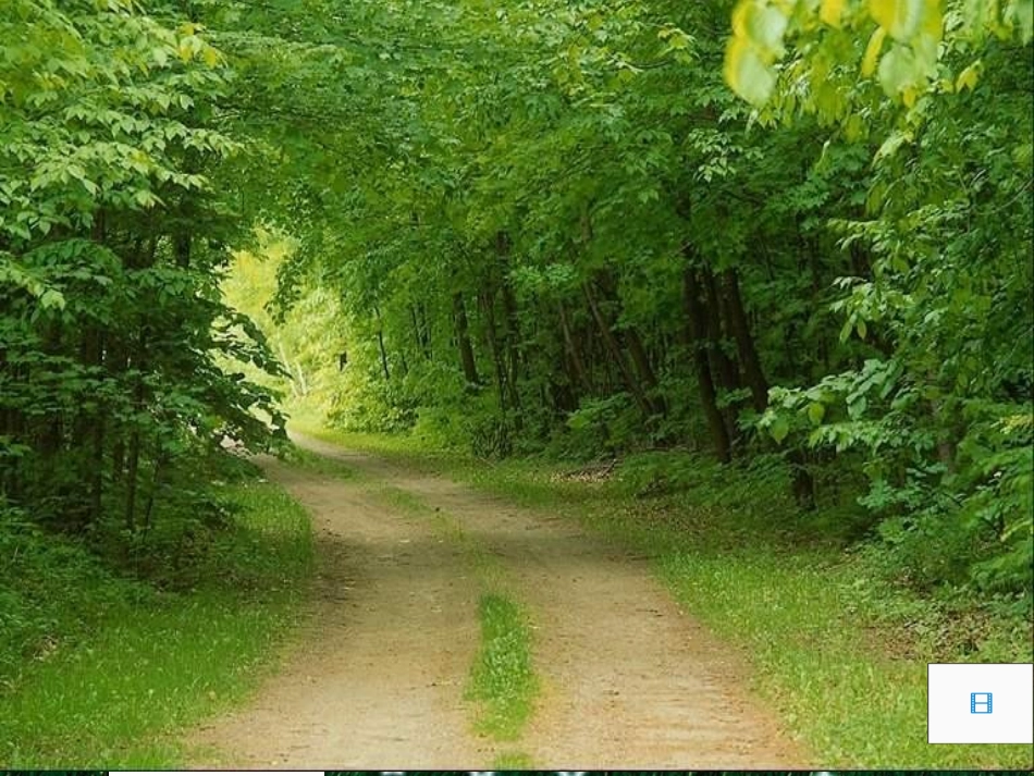 讲课用三角形的面积_第1页