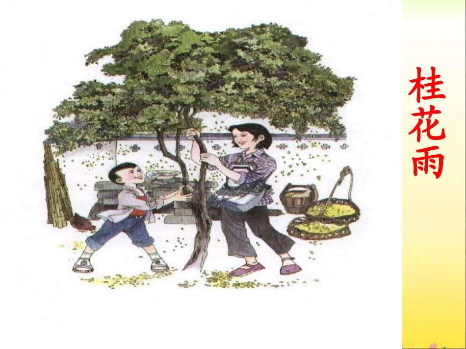 《桂花雨》教学课件_第1页