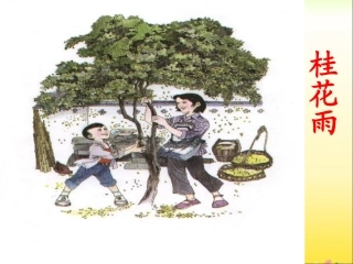 《桂花雨》教学课件