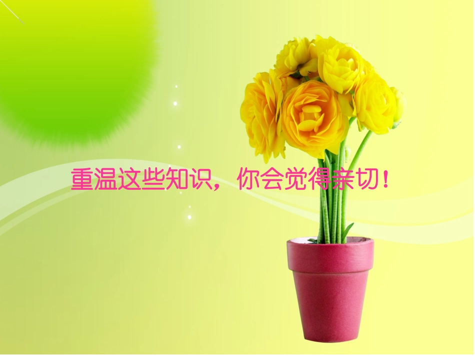 有理数总复习(实用)_第1页