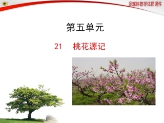 桃花源记课件 (3)
