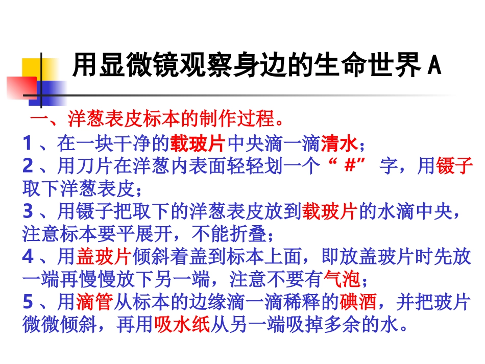 教科版小学科学六年级下册第一单元《用显微镜观察身边的生命世界》PPT课件之一_第2页