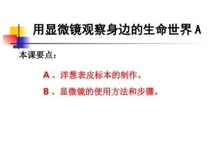 教科版小学科学六年级下册第一单元《用显微镜观察身边的生命世界》PPT课件之一