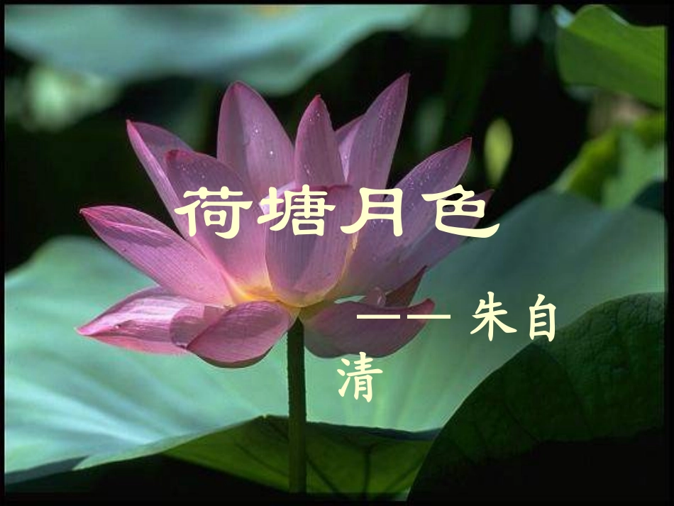 荷塘月色 (2)_第1页