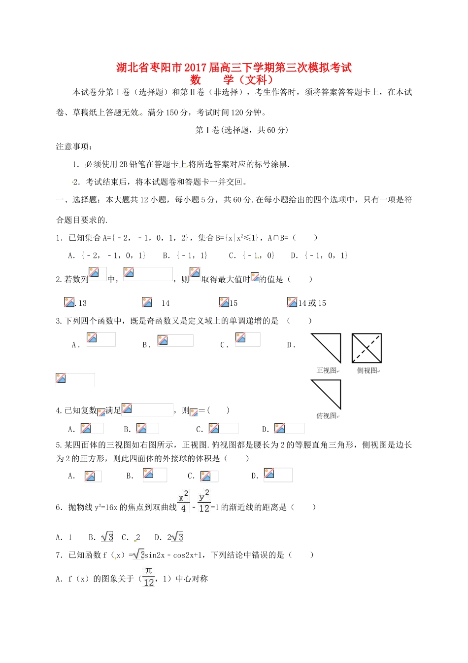 湖北省枣阳市高三数学下学期第三次模拟考试试题 文-人教版高三全册数学试题_第1页