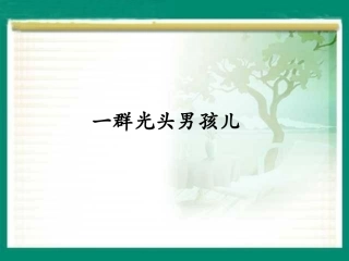 一群光头男孩儿