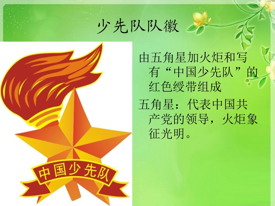 少先队员基本知识_第3页