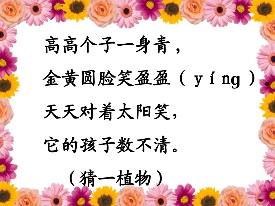 植物妈妈有办法 (3)_第2页