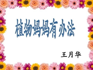 植物妈妈有办法 (3)