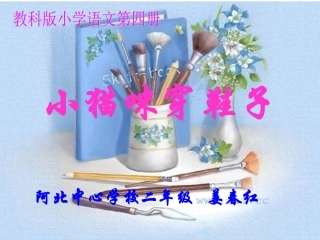 小猫咪穿鞋子123