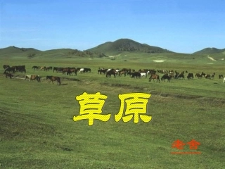 《草原》课堂演示课件