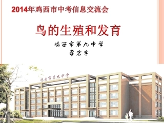 鸡卵的实验观察
