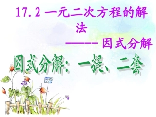 《172一元二次方程-因式分解法》